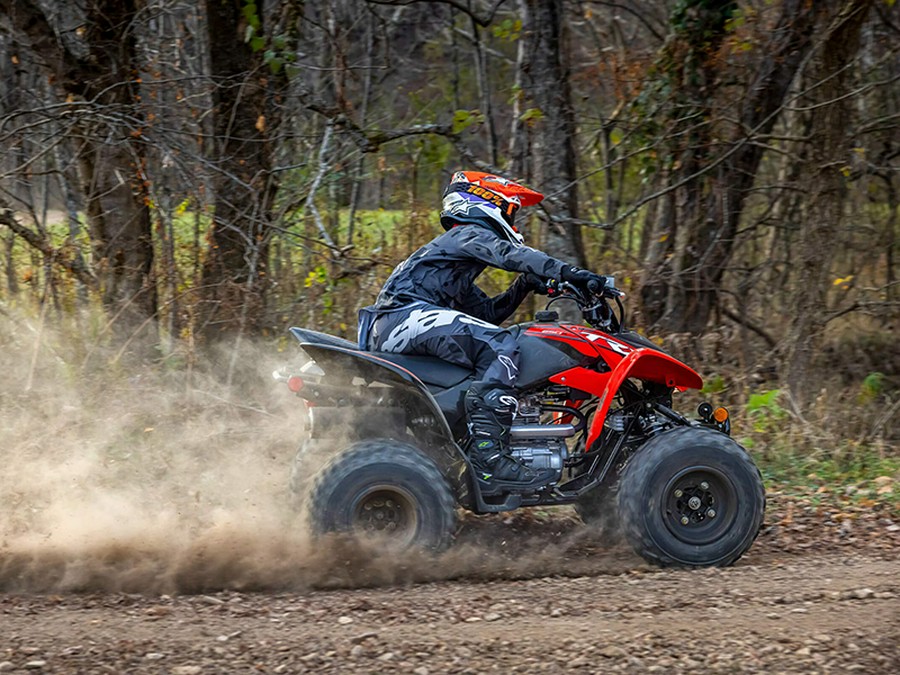 2024 Honda TRX 250X