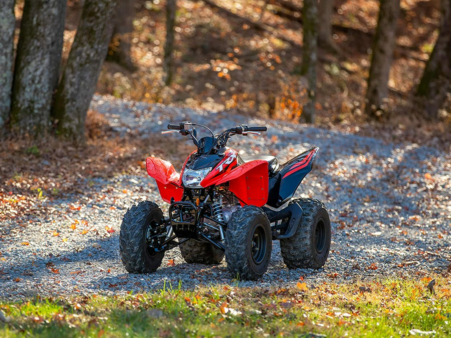 2024 Honda TRX 250X