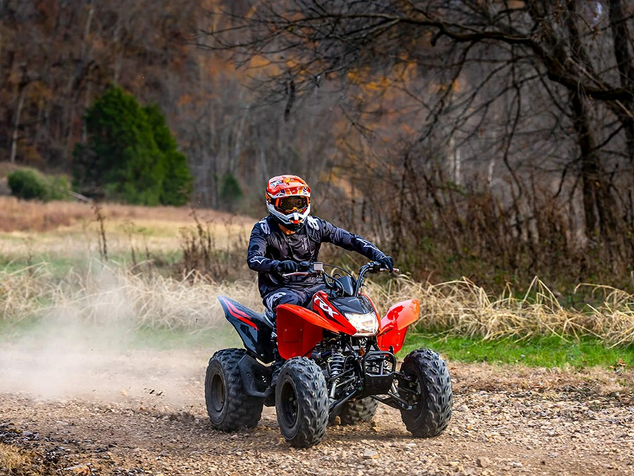 2024 Honda TRX 250X