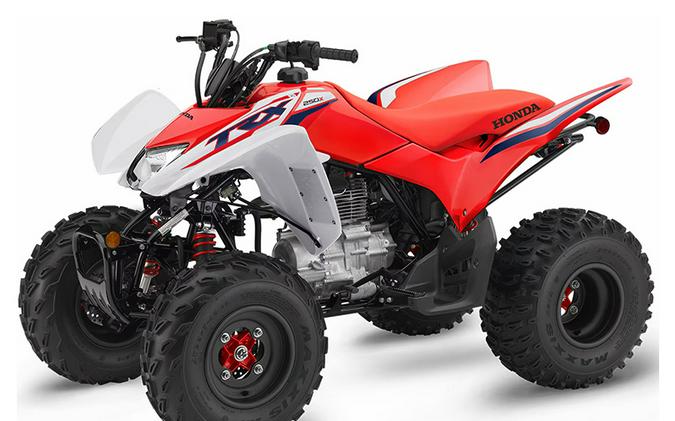 2024 Honda TRX 250X