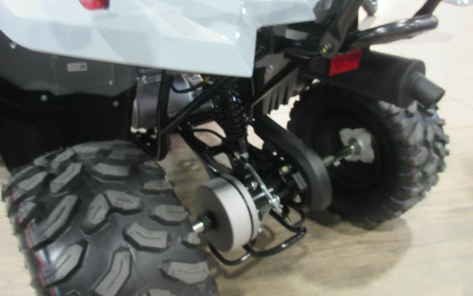 2026 YAMAHA GRIZZLY 110