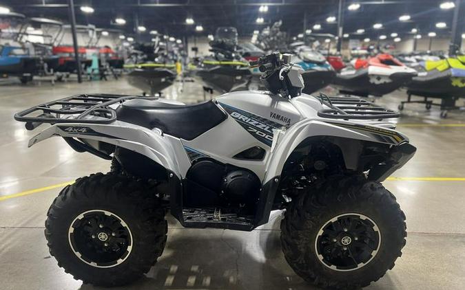 2020 Yamaha Grizzly EPS SE