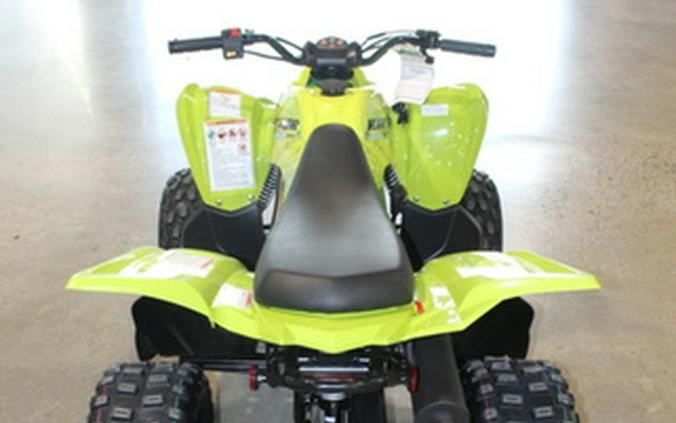 2026 Yamaha Raptor 110