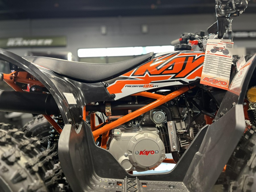 2025 KAYO PREDATOR 125 EFI
