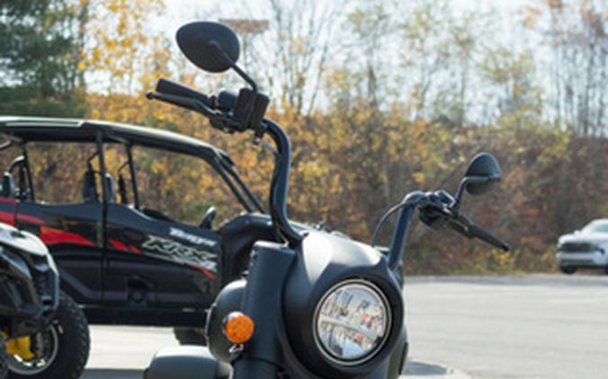 2025 Indian Springfield Dark Horse Moss Green Smoke