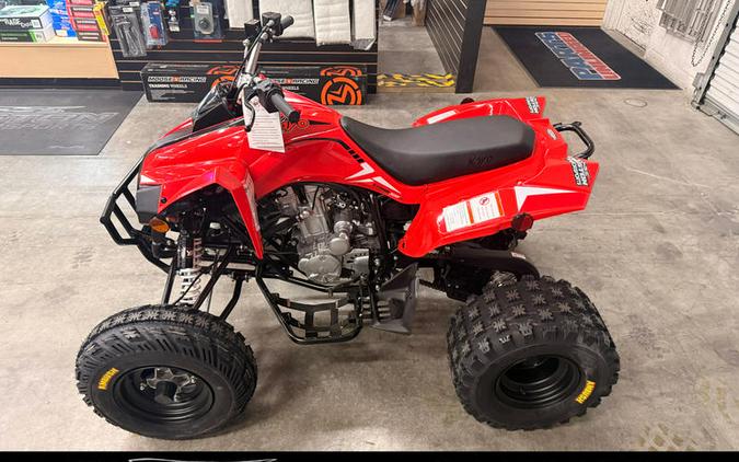 2027 Kayo Storm 300 EFI