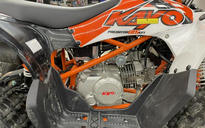 2026 Kayo Predator 125 EFI