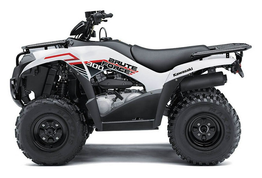 2021 Kawasaki Brute Force® 300