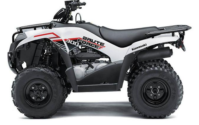 2021 Kawasaki Brute Force® 300