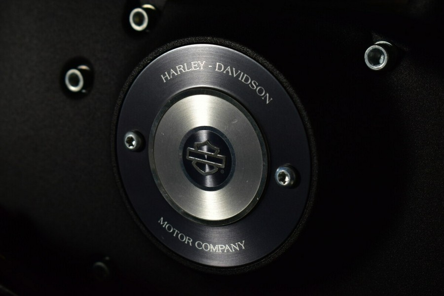 2020 Harley-Davidson Iron 883 XL 883N