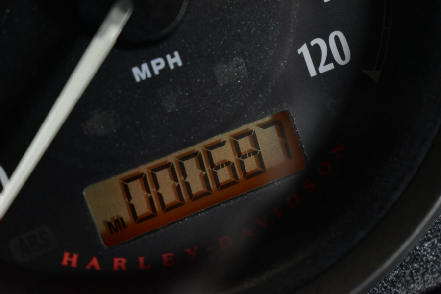 2020 Harley-Davidson Iron 883 XL 883N