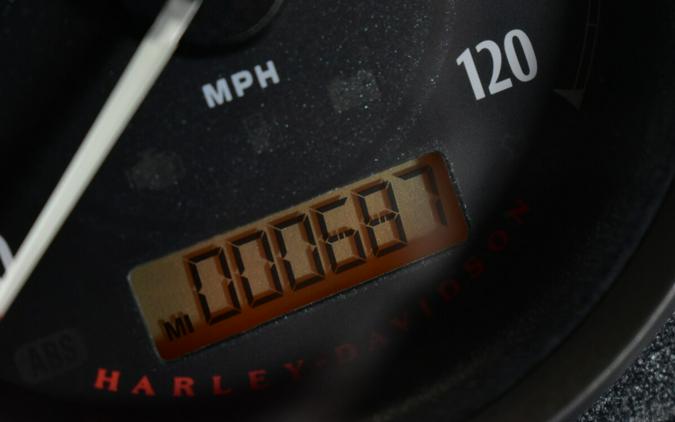 2020 Harley-Davidson Iron 883