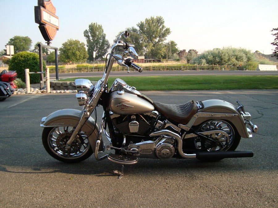 2009 Harley-Davidson Heritage Softail® Classic Pewter Pearl