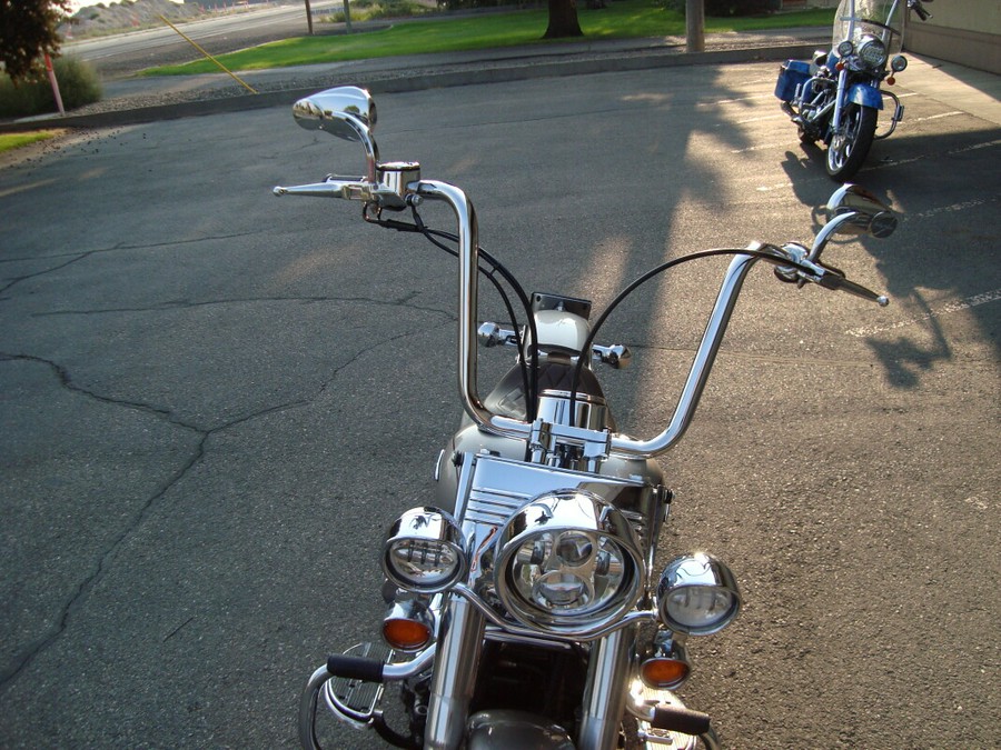 2009 Harley-Davidson Heritage Softail® Classic Pewter Pearl