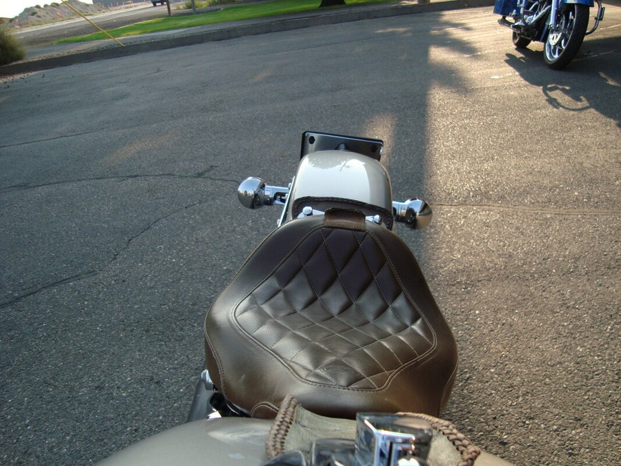 2009 Harley-Davidson Heritage Softail® Classic Pewter Pearl