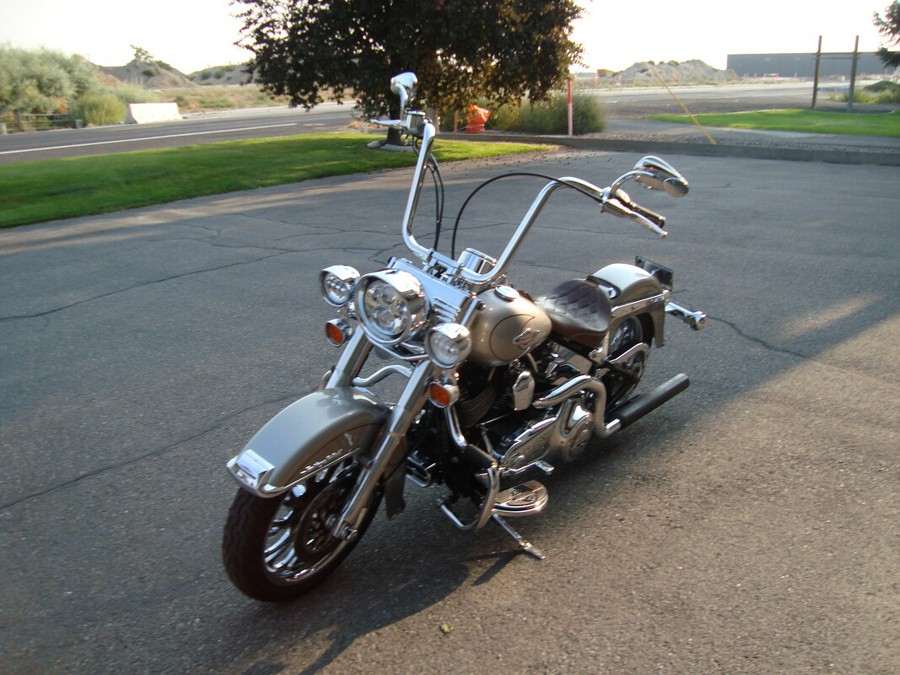 2009 Harley-Davidson Heritage Softail® Classic Pewter Pearl