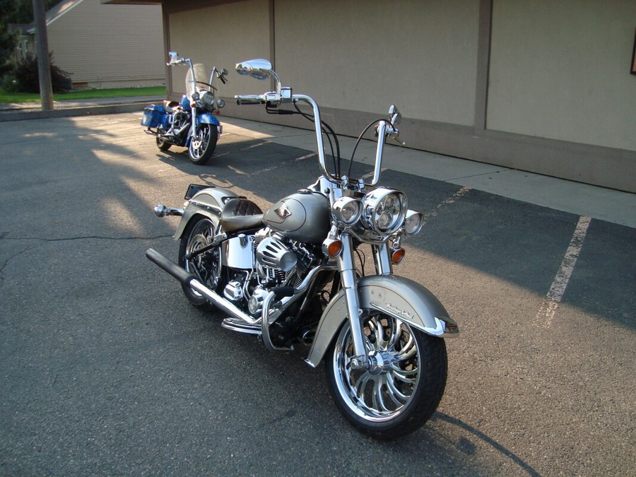 2009 Harley-Davidson Heritage Softail® Classic Pewter Pearl