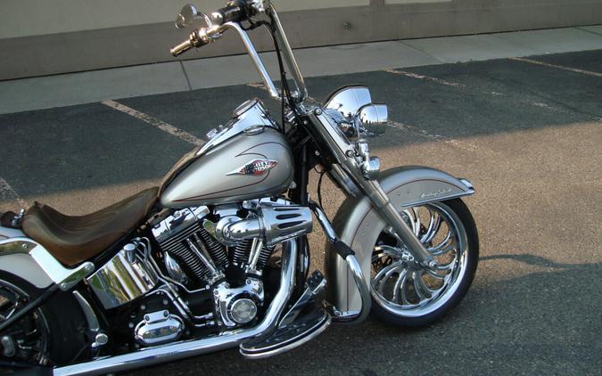 2009 Harley-Davidson Heritage Softail® Classic Pewter Pearl