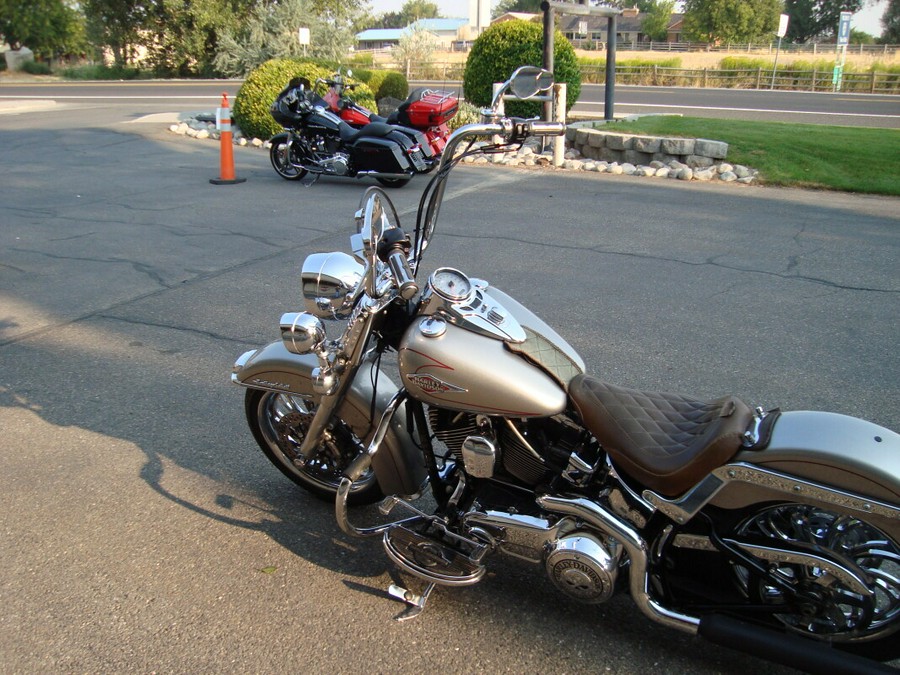 2009 Harley-Davidson Heritage Softail® Classic Pewter Pearl