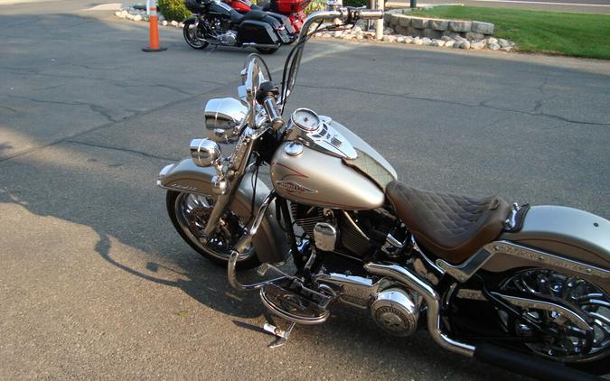 2009 Harley-Davidson Heritage Softail® Classic Pewter Pearl