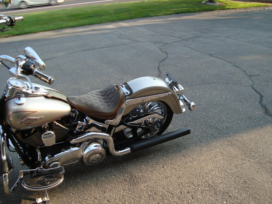 2009 Harley-Davidson Heritage Softail® Classic Pewter Pearl