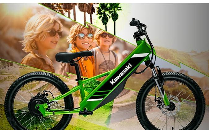 2025 Kawasaki Elektrode® 20