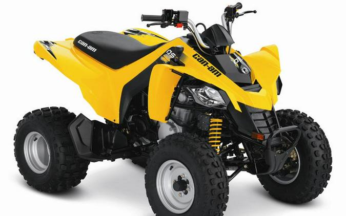 2011 Can-Am® DS 250®