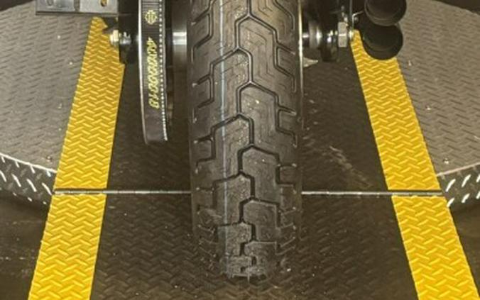 2021 Harley-Davidson Street Bob 114 FXBBS DEADWOOD GREEN