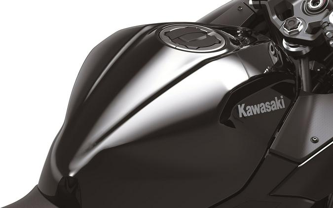 2024 Kawasaki Ninja® 500 ABS