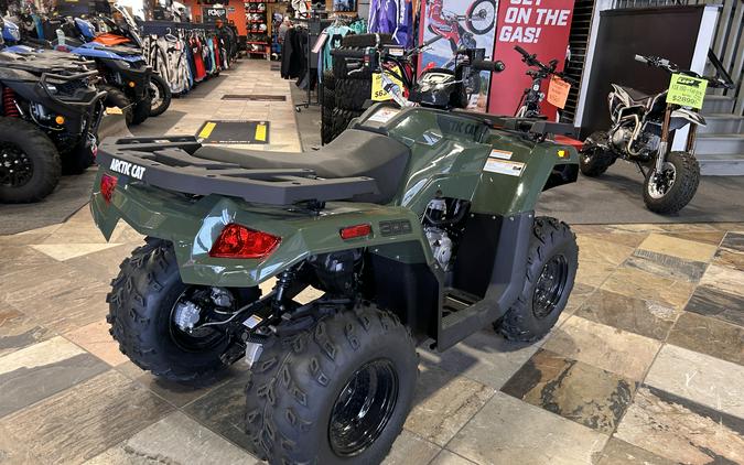 2026 Arctic Cat Off Road Alterra 300 2x4