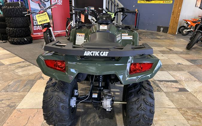 2026 Arctic Cat Off Road Alterra 300 2x4