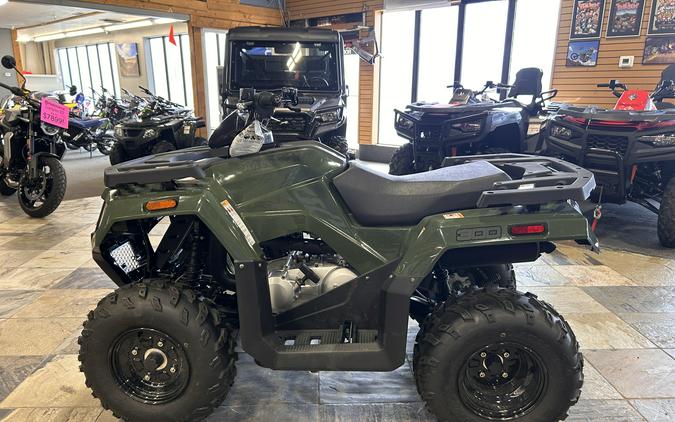 2026 Arctic Cat Off Road Alterra 300 2x4