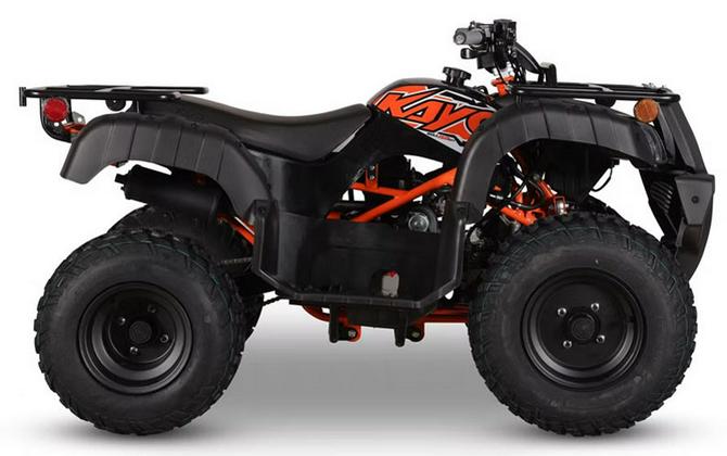2026 Kayo Bull 150 EFI