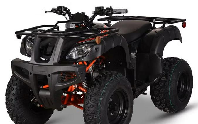 2026 Kayo Bull 150 EFI