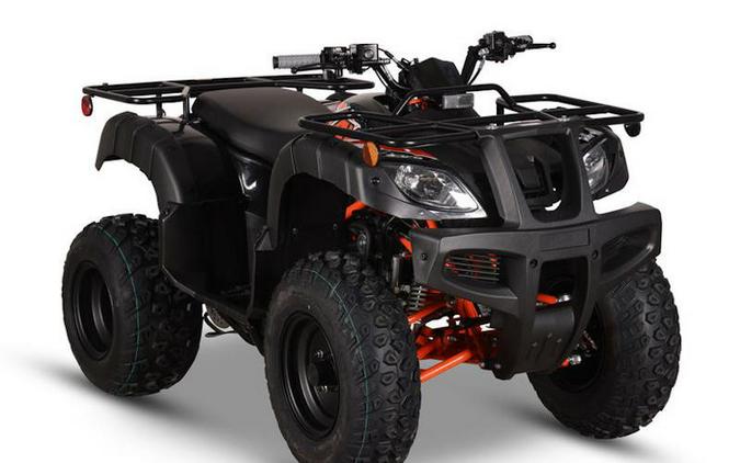 2026 Kayo Bull 150 EFI