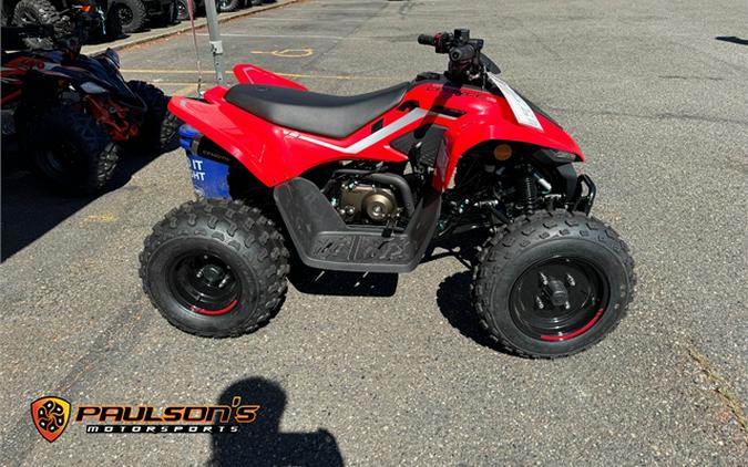 2024 CFMOTO CFORCE 110