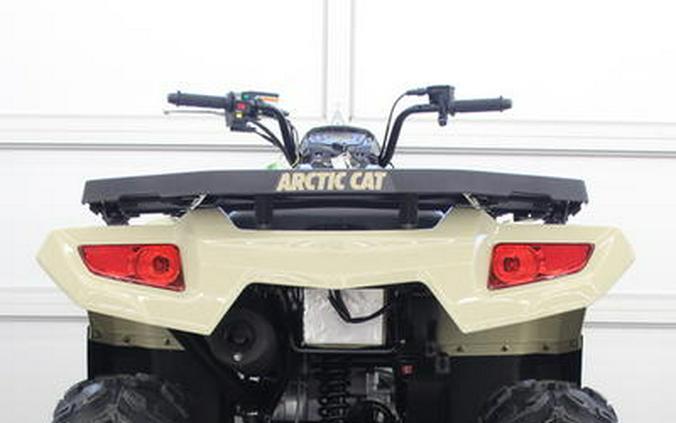 2023 Arctic Cat® Alterra 300