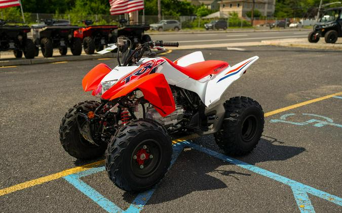 2024 Honda® TRX250X