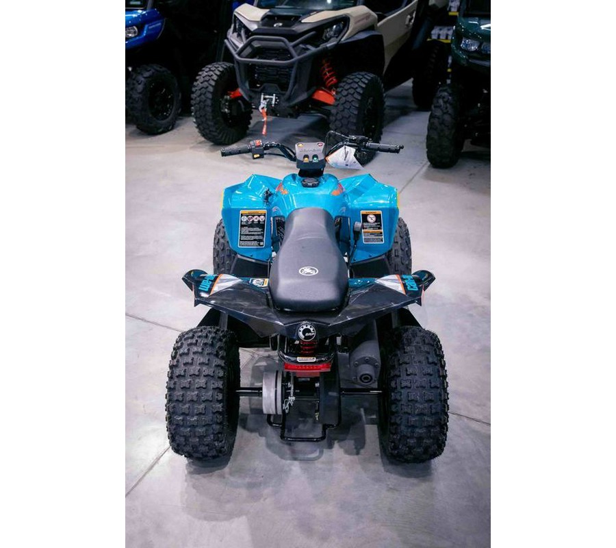 2024 Can-Am® Renegade 70 EFI