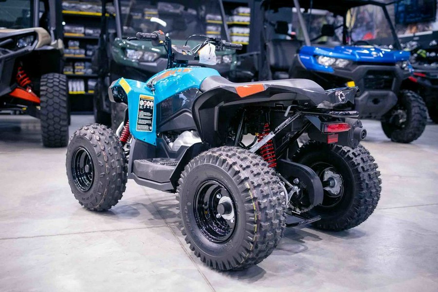 2024 Can-Am® Renegade 70 EFI