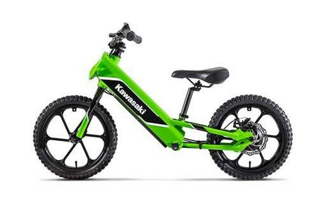 2024 Kawasaki Elektrode™20