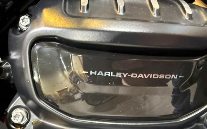 2026 Harley-Davidson Nightster® Special