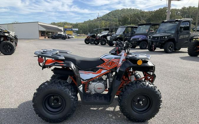 2026 Kayo Bull 125 EFI