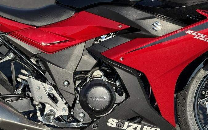 2023 Suzuki GSX250RAM3