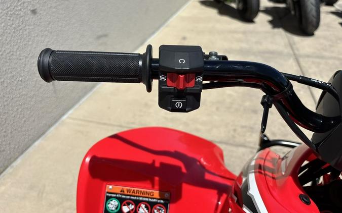 2026 Honda® TRX90XT