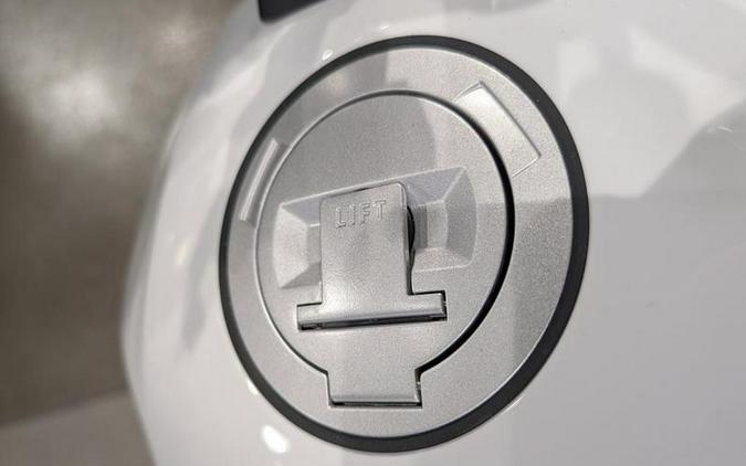 2026 BMW R 12 G/S Light White
