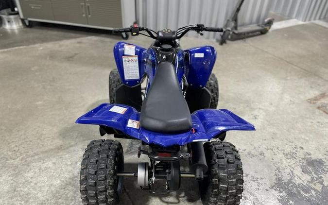 2024 Yamaha Raptor 110