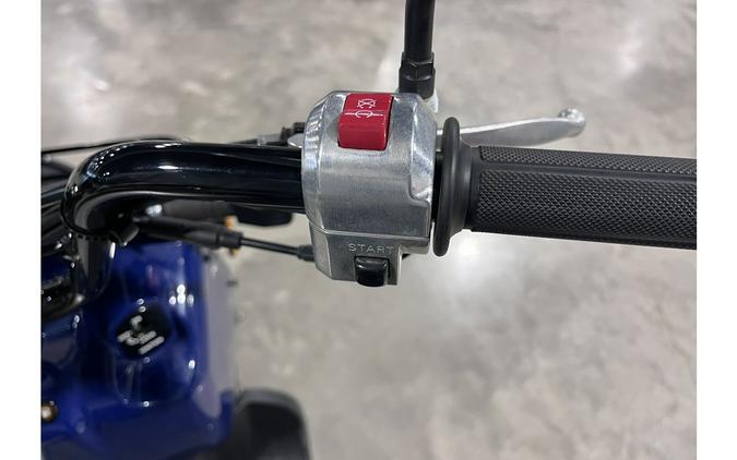 2019 Ruckus - Honda