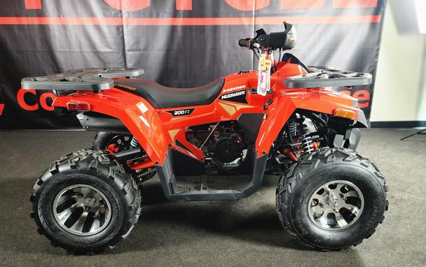 2026 DENAGO MUDHAWK 200 FI - F310008