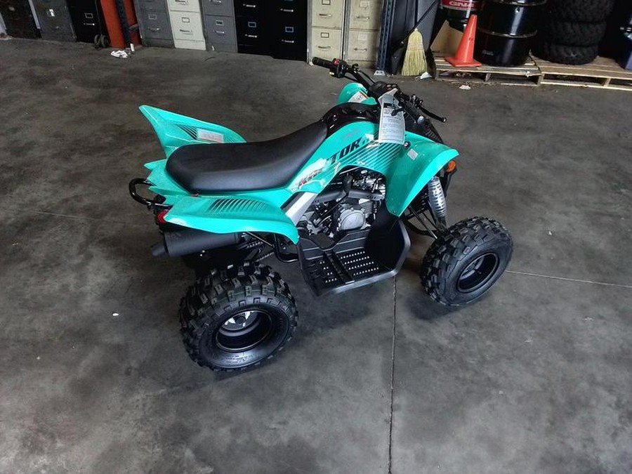 2025 Yamaha Raptor 110